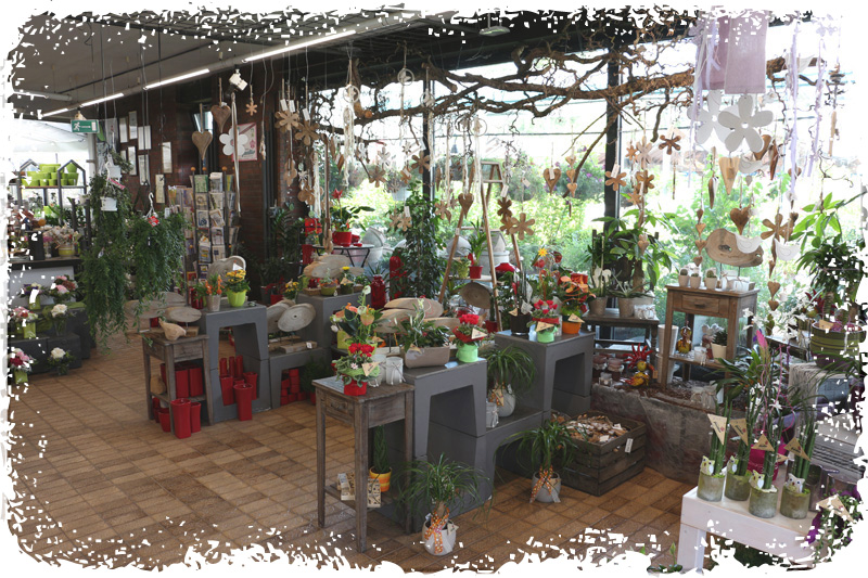 Blumen Janke Weilerbach